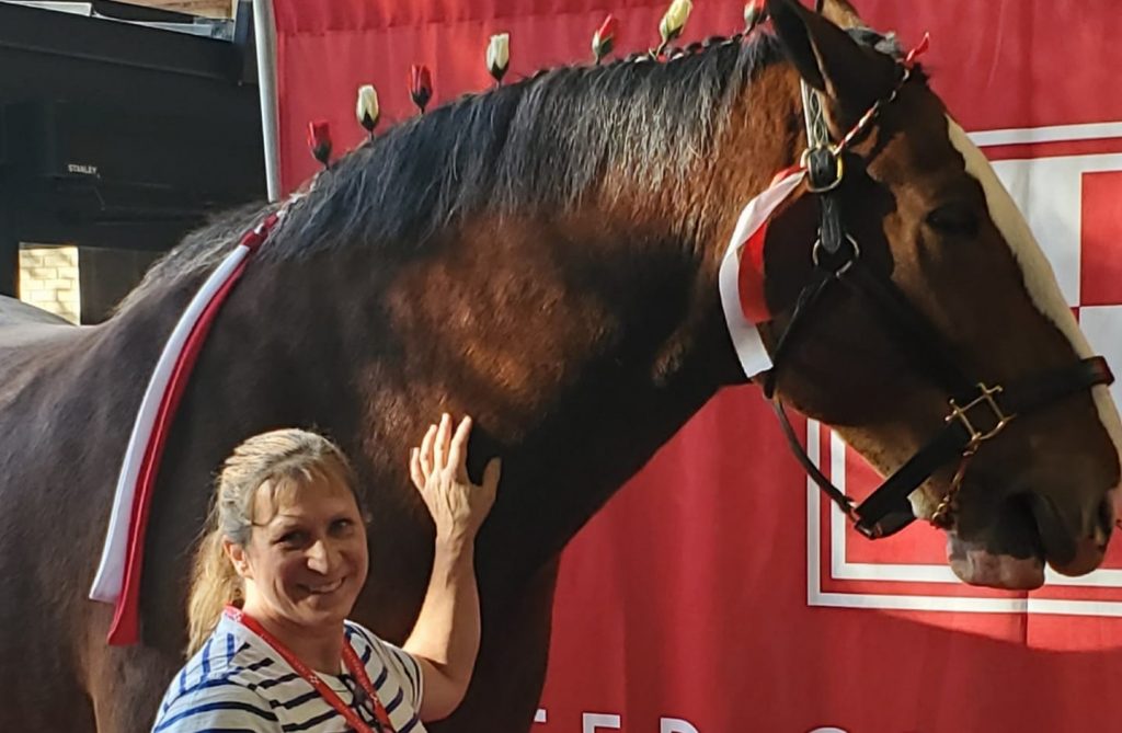 AAEVT Event Recap Purina Vet/Tech Conference