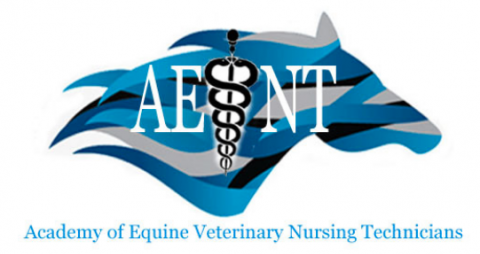 AAEVT | Academy Of Equine Veterinary Nursing Technicians
